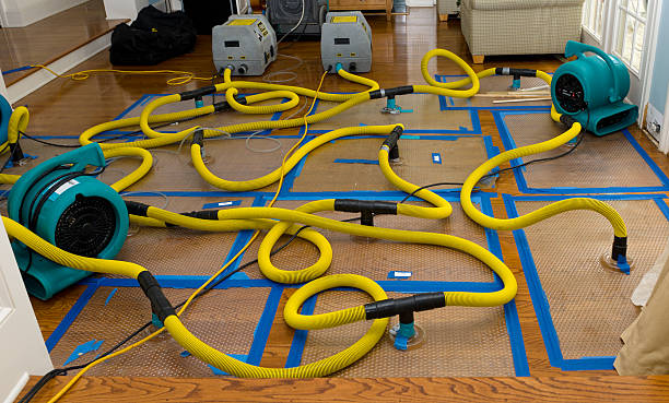 Professional Crawl Space Water Removal technician working in Windham, OH